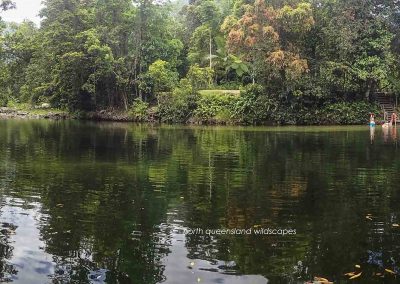 Babinda Boulders Swimming Hole