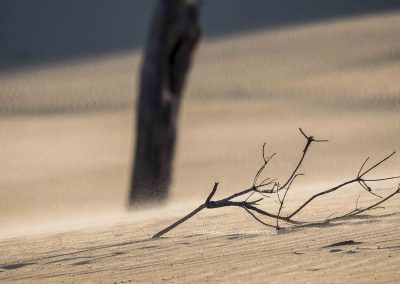 Badjula Dune (1)