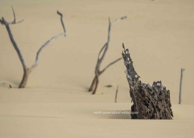 Badjula Dune (2)