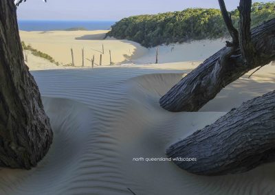 Badjula Dune (6)