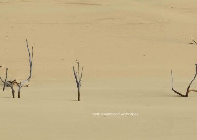 Badjula Dune (9)