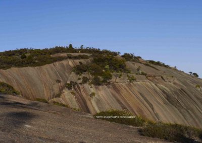 Bald Rock NP (2)