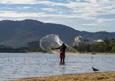 Cast-netting for prawns Cairns Esplanade