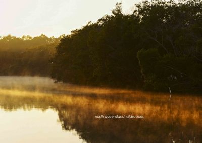 Egret at Sunrise (2)