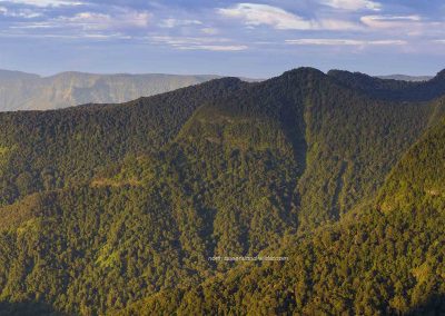 Gold Coast Hinterland (1)