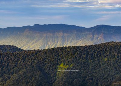 Gold Coast Hinterland (2)