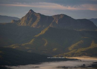 Gold Coast Hinterland (5)