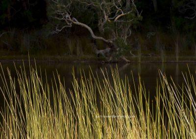 Lake Allom (1)