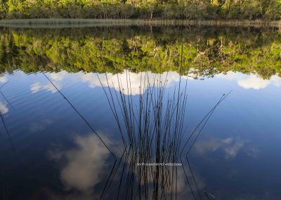 Lake Allom (2)