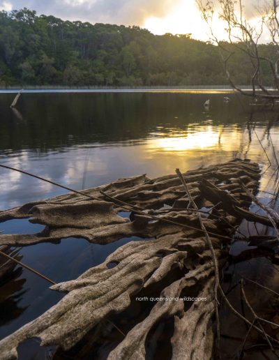 Lake Allom (5)