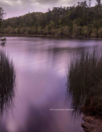 Lake Allom (6)