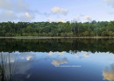 Lake Allom (7)