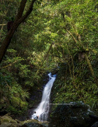 Lamington NP Scenes (2)