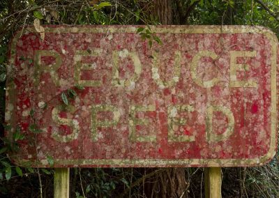 Reduce Speed