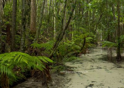 Wangoolba Creek